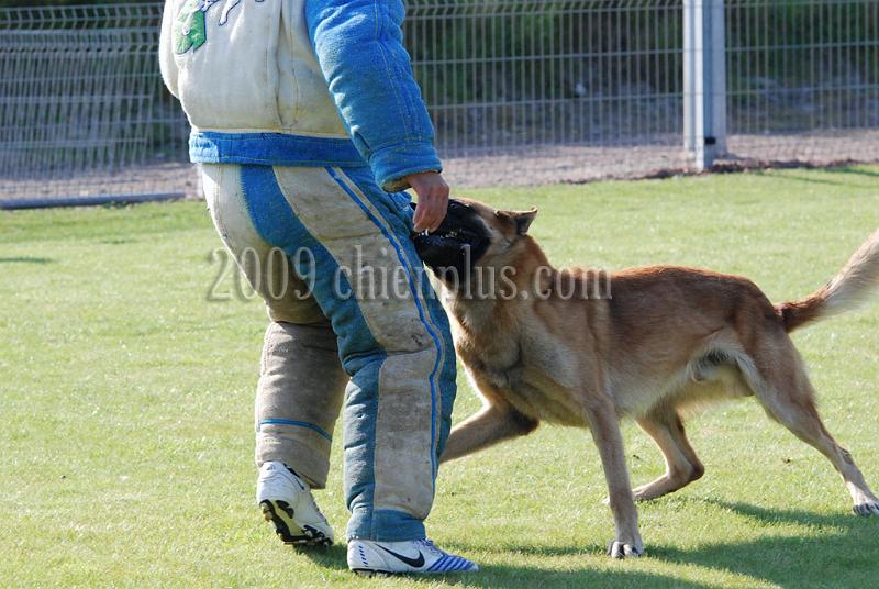 3 EME SELECTIF 2009 GRANDE SYNTHE 336.jpg